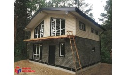 ПАНЕЛЬ ФАГОТ, ЦВЕТ РАМЕНСКИЙ