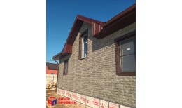 ПАНЕЛЬ ФАГОТ, ЦВЕТ РАМЕНСКИЙ