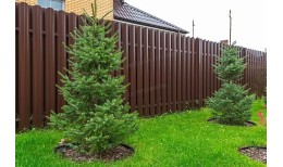 Штакетник металлический МЕТАЛЛ ПРОФИЛЬ ELLIPSE-O 19х126 (VikingMP E-20-8017-0.5)