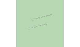 Штакетник металлический МЕТАЛЛ ПРОФИЛЬ LАNE-T 16,5х99 NormanMP (ПЭ-01-6019-0.5)