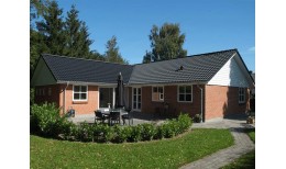 Минеральная черепица Braas Протектор