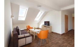 Деревянное мансардное окно FTS-V U2 (V22)