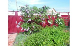 Крышка универсальная RAL 3005