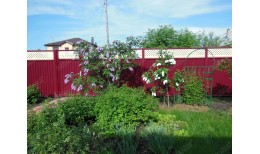 Крышка универсальная RAL 3005