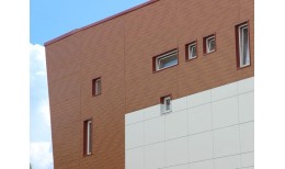 Вертикаль 0,2 prof 0,45 PE с пленкой RAL 3005 красное вино