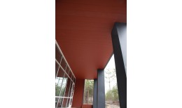 Вертикаль 0,2 line 0,5 Satin Matt RAL 8004 терракота